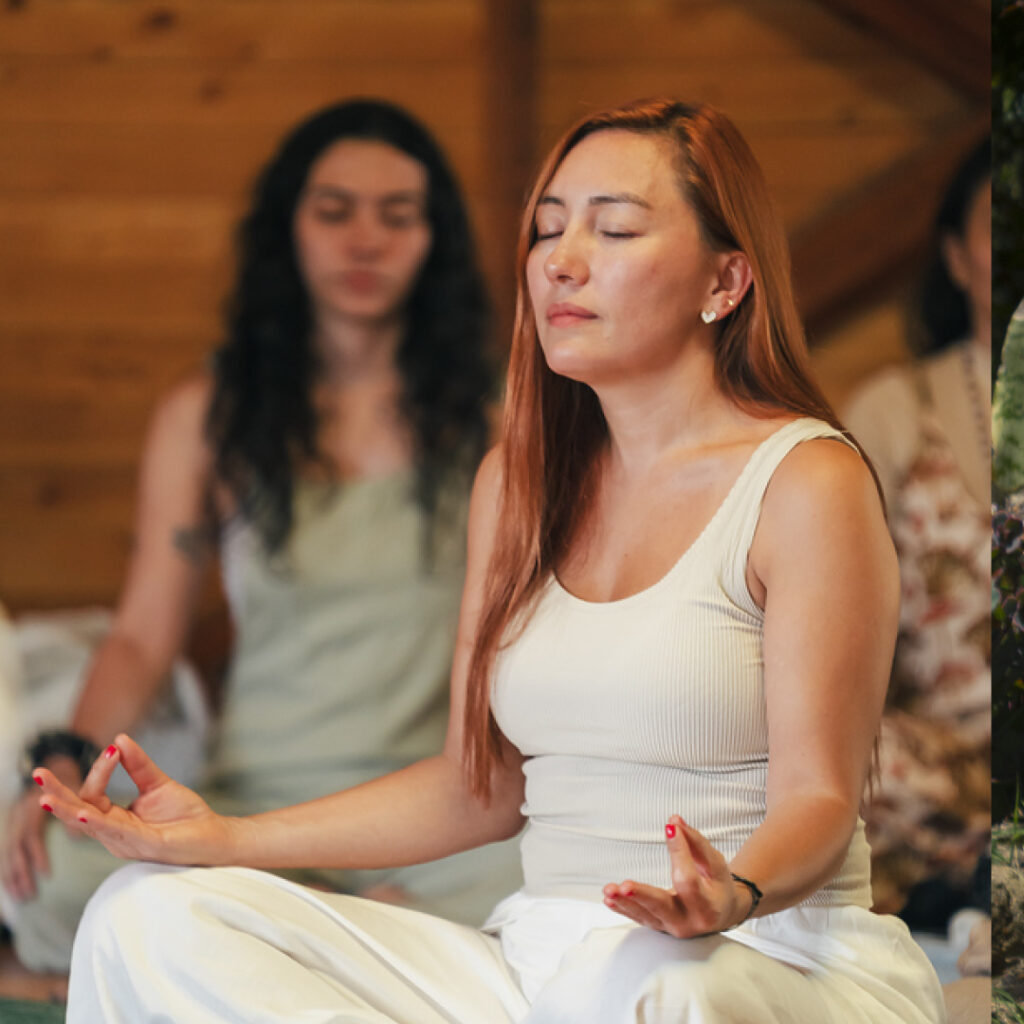 Retiro de Meditación · 1 Dia